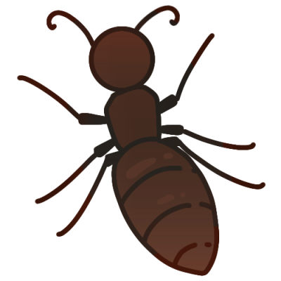 a brown ant